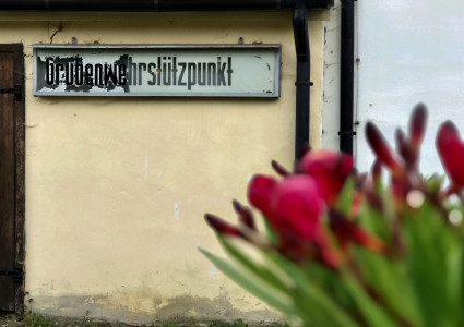 Processed with Focos